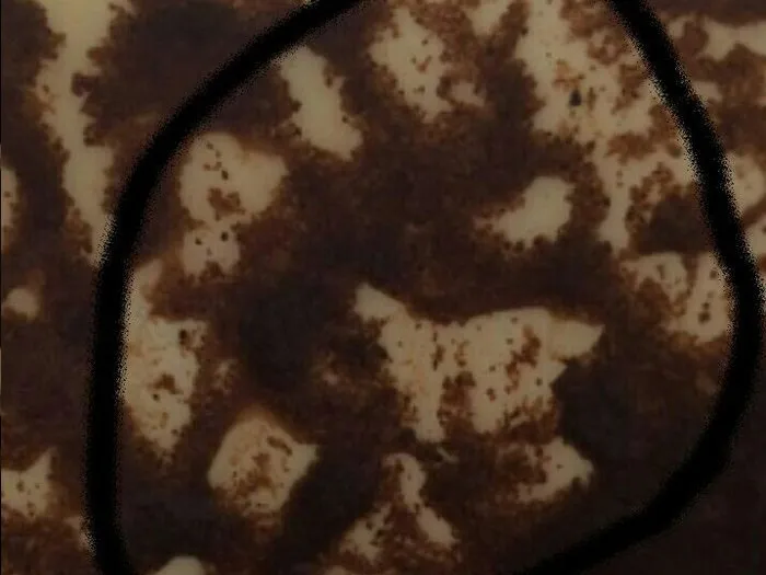 Запись на прием к гадалке в Вологде